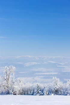 Jeseniky Mountains in winter, Czech Republic