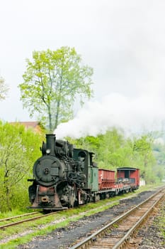 narrow gauge railway, Banovici, Bosnia and Hercegovina