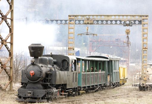 last day of service of CKD steam locomotive n. 5 (1.4.2008), Ciernohronska Railway, Slovakia