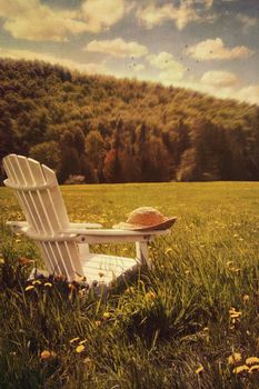 Adirondack chair in a field of tall grass