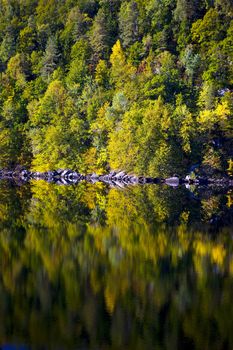 landscape of Southern Norway