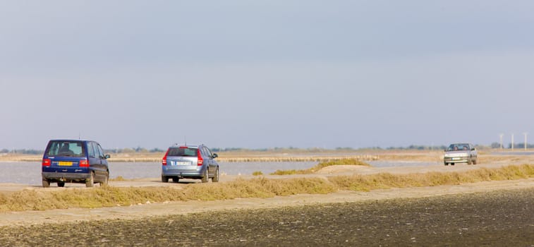 Parc Regional de Camargue, Provence, France