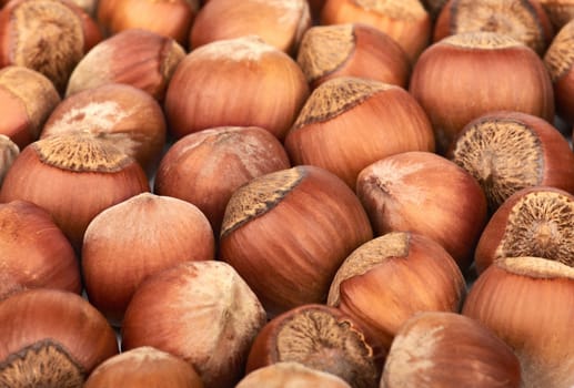 Hazelnuts background. Closeup. Natural healthy food.