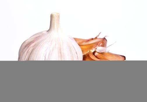 two heads of garlic on a white background