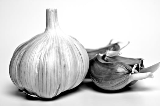 two heads of garlic on a white background