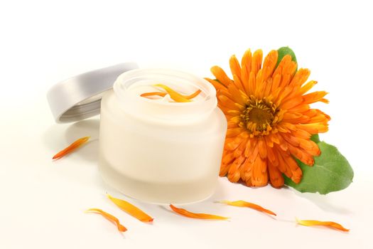 Calendula ointment with fresh marigold flowers, leaves and petals on a light background