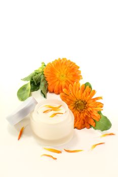 Calendula ointment with marigold flowers, leaves and fresh petals on a light background