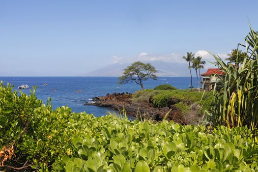 Tropical coast with ocean and island view over the greenery.