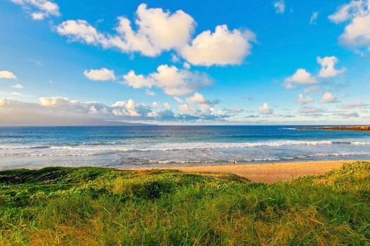 Hawaii. Beach. Sunset.