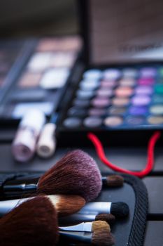 Makeup kit and brushes