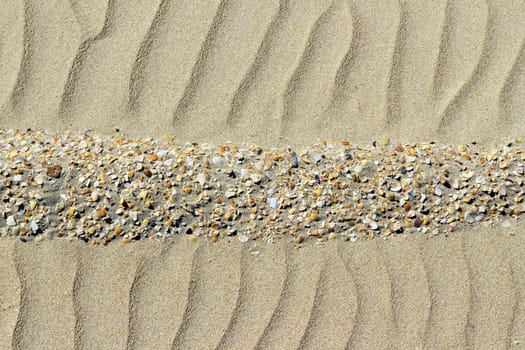 	
image of sand dunes in the background