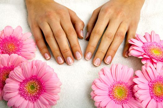 feminin hands with a treatment doing a manicure closeup