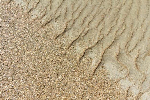 	
image of sand dunes in the background