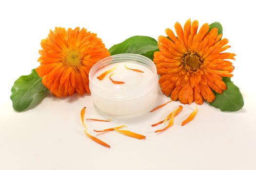 Calendula ointment with marigold flowers, leaves and petals