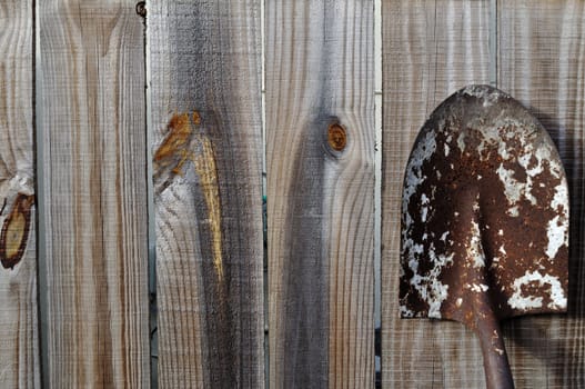 Old gardening shovel leaning on a wooden backyard fence.