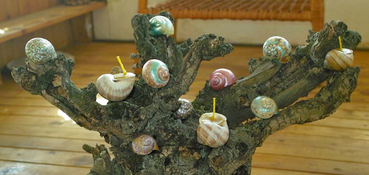 Painted beeswax candles votives in snail shell