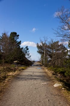 Picture of a man made pathway in nature