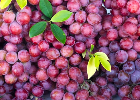Fresh grape fruit in the market