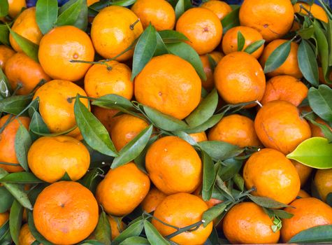 Fresh orange fruit in the market
