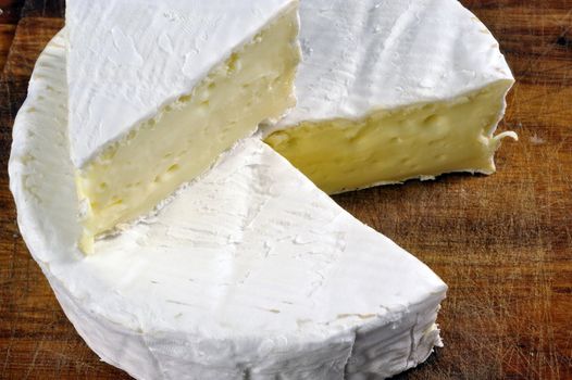 French Camembert cheese of Normandy