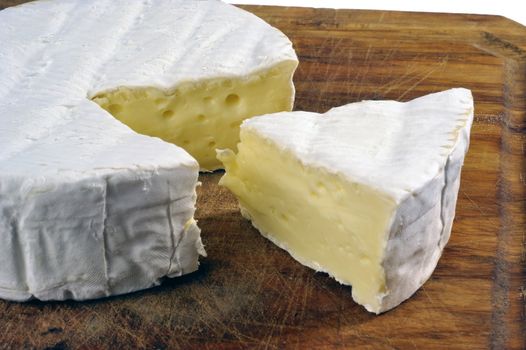 French Camembert cheese of Normandy