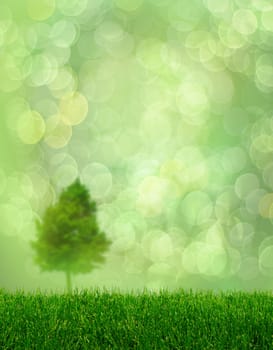 Spring fantasy with green grass and defocused tree on bokeh background