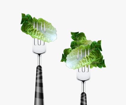fresh green Lettuce pierced by fork, isolated on white background