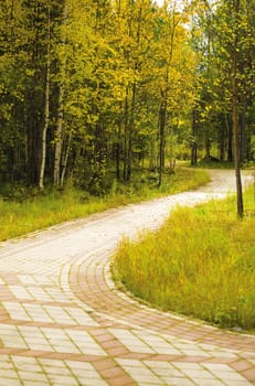 lane covered with yellow foliage in city park in autumn season