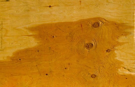 Background of wet wooden plate sheet wall closeup.
