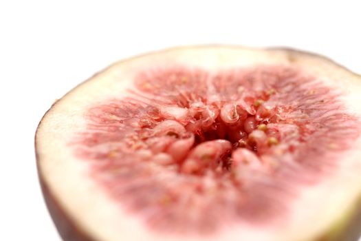 fig fruit