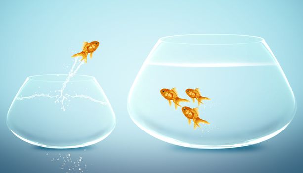 goldfish jumping into bigger fishbowl.