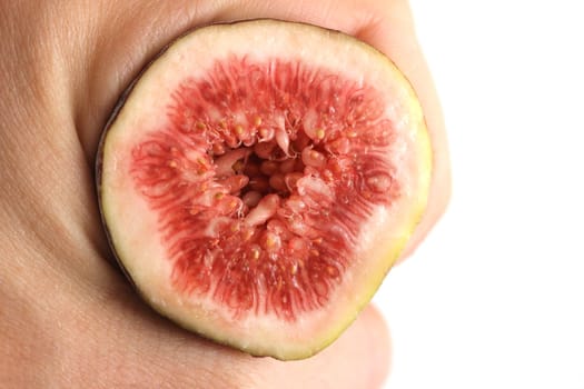 fig fruit hand
