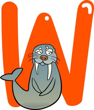 cartoon illustration of W letter for walrus