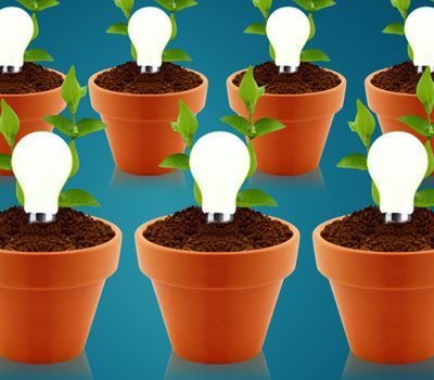 modern Green energy concept, bright bulb in garden pot with small plant.