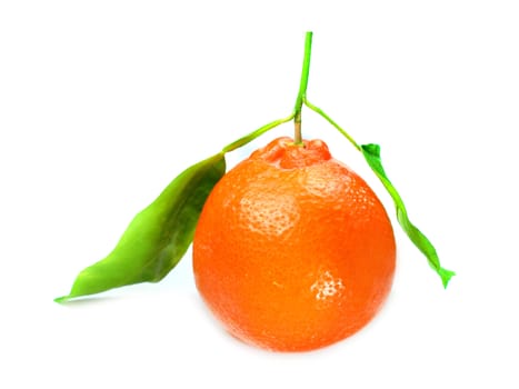Fresh orange on a white background