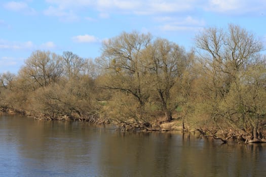 Mulde river in early spring in Germany