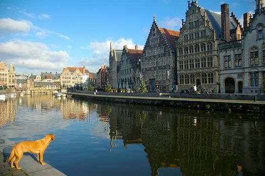 Ghent, Belgium - Dec 3: Ghent, Belgium, on December 3, 2008, is the capital and biggest city of the East Flanders province. The Graslei is one of the most scenic places in Ghent's old city centre. 