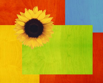 Abstract sunflower Background Texture