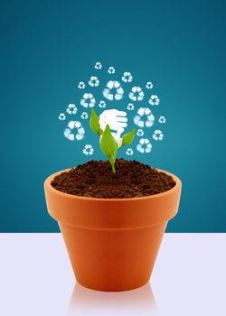 Energy saving fluorescent light bulb as flower in garden pot, Ecological awareness concept