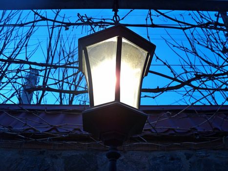 General view of a being shone electric lamp against the dark blue sky