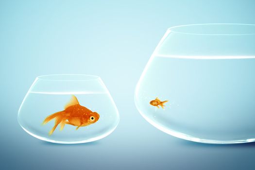 Big and small goldfish,conceptual image for diet, fat.
