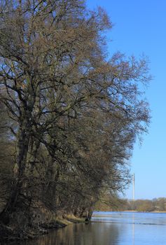 Elbe river in early spring