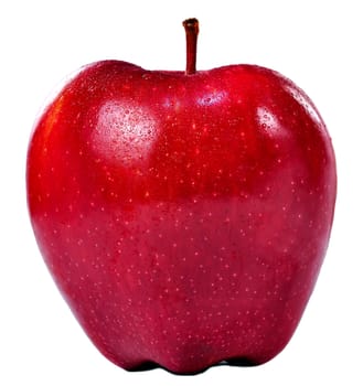 Isolated frontal shot of a fresh red apple with stem and drops of water on it.