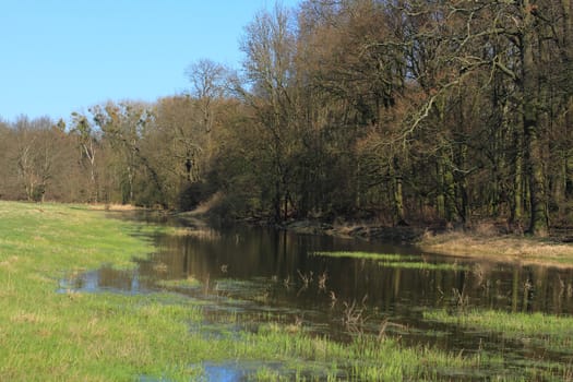 Pond in a floodplain in early spring