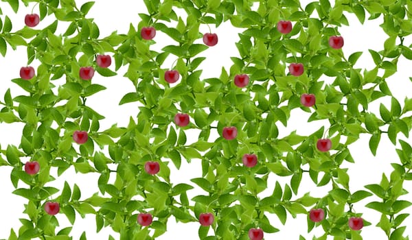 set of Green leaves and twigs.