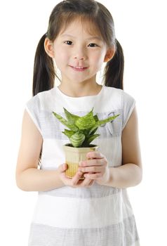 Concept of little girl holding a plant on white background