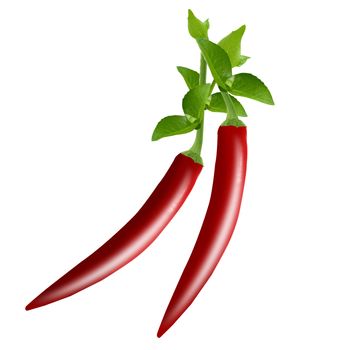 red hot chili pepper on white background