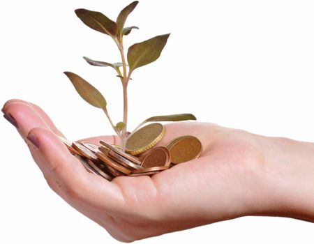 Hand holding a pile of coins and a small plant sprouting from there