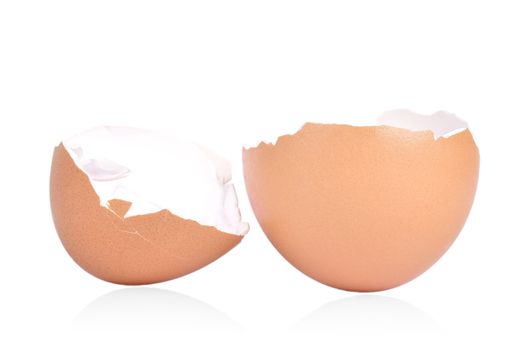 Broken and empty egg shell on a white background with a shadow underneath