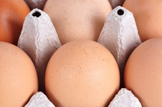 Closeup of a carton box with six eggs inside